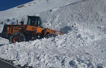 Van-Bahçesaray yolu ulaşıma açıldı