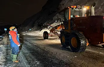 Van-Bitlis karayoluna çığ düştü