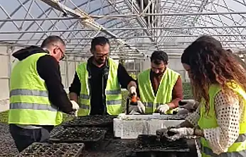 Van Büyükşehir Belediyesi, mevsimlik çiçeklerini kendi üretiyor