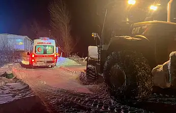 Van Büyükşehir Belediyesi'nden kurtarma mesaisi