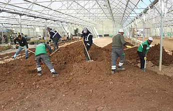 Van'da 4.000 m²'lik sera alanı yenilendi