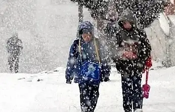 Van'da 4 ilçede eğitime kar engeli