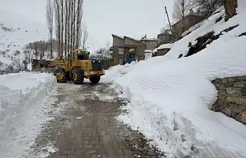 Van'da 78 yerleşim yerine ulaşılamıyor