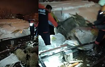 Van'da ahır çöktü, 5 küçükbaş hayvan telef oldu