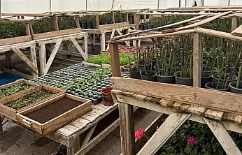 Van'da bahar hazırlıkları tamam: Parklar çiçek açacak