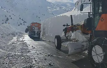 Van'da çığ bölgesinde çalışan greyder şarampole yuvarlandı