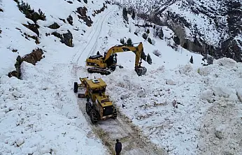 Van'da çığ düşen yol ulaşıma açıldı