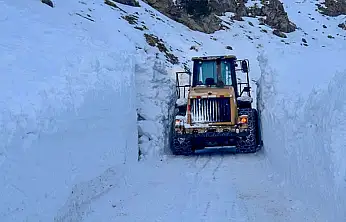 Van'da çığa rağmen hayat yolu açıldı