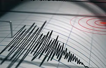 Van'da deprem korkuttu