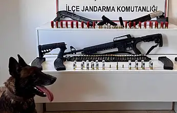 Van'da ev aramasında silah ve fişek ele geçirildi