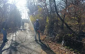 Van'da görüş açısını engelleyen ağaçlara budama yapıldı