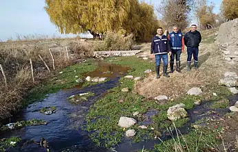 Van'da İnci Kefali üreme alanlarında denetimler sıklaştırıldı