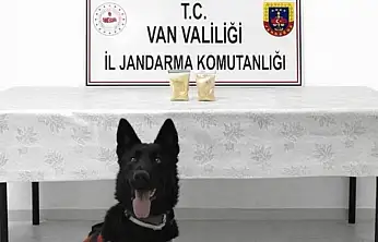 Van'da İranlı şahısın üzerinde eroin ele geçirildi