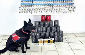 Van'da kaçak sigara ve çay ele geçirildi