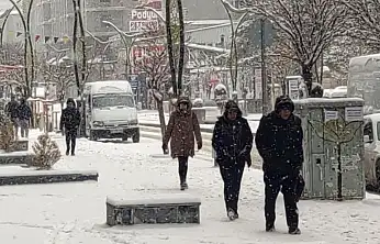 Van'da kar yağışı etkili oluyor