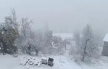 Van'da kar yağışı