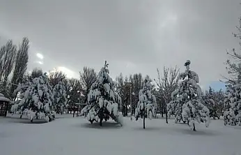 Van'da karla gelen güzellik