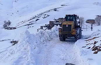 Van'da karla mücadele çalışmaları sürüyor