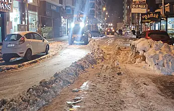 Van'da karla mücadele sürüyor