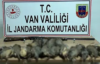 Van'da keklik avına 87 bin TL idari para cezası