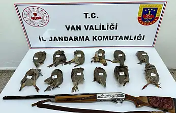 Van'da keklik avlayan kişiye 81 bin TL ceza