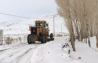 Van'da kırsalda karla mücadele seferberliği