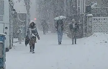 Van'da lapa lapa kar yağdı