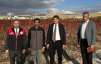 Van'da meyve fidanı üretimini artırma çalışmaları
