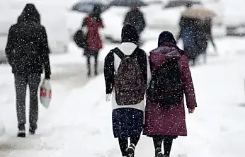 Van'da okullar tatil edildi