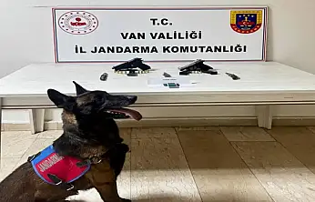 Van'da ruhsatsız tabanca ele geçirildi
