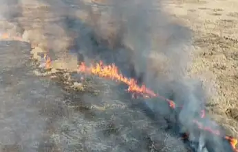 Van'da sazlık yangını