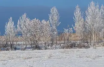 Van'da Sibirya soğukları hayatı olumsuz etkiliyor