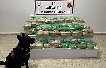 Van'da skunk ele geçirildi