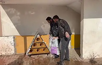 Van'da sokak kedilerine kış desteği