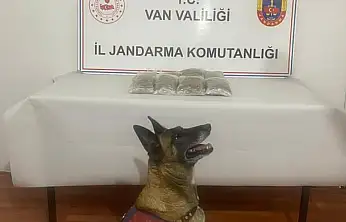 Van'da uyuşturucu madde ele geçirildi