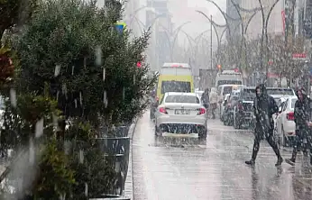 Van'da yağışlar çiftçilerin yüzünü güldürdü