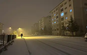 Van'da yoğun kar yağışı