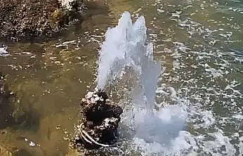 Van Gölü'nde şaşırtan görüntü: Mikrobiyalitten tatlı su fışkırdı