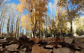 Van'ın sonbahar güzelliği