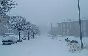 Van kar yağışı: 569 yol kapandı, uçak seferleri iptal edildi