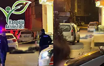 Vangölü Aktivistleri Derneği: Genç intiharları ve artan şiddet olayları hepimizi derinden etkiliyor