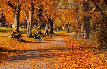 Vanlılar sonbaharın tadına varacak