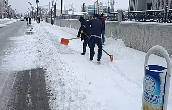 Yoğun kar yağışı sonrası Erciş'te yollar açılıyor