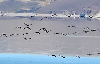 Zorlu göçün durağı Erçek Gölü