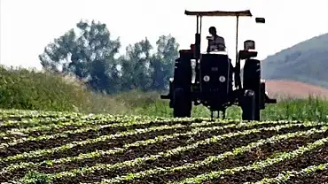 Tarım-ÜFE yıllık yüzde 41,55 arttı