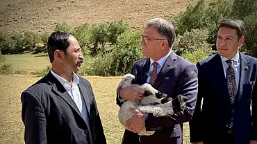 Vali Balcı: Çiftçilerimize 240 bin koyun dağıttık