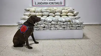 Başkale'de 60 kilo uyuşturucu ele geçirildi