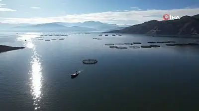 Denizi olmayan Tokat'ın somonları dünya sofralarına ulaşıyor