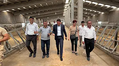 Düve üretim merkeziyle Van kırmızı et üretiminde merkez olacak