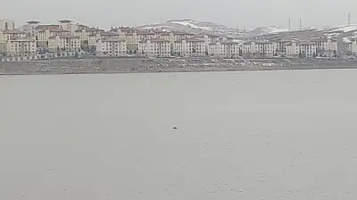 Sıhke Göleti'ne giren inek telef oldu